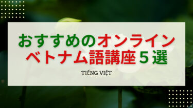 ベトナム人が厳選 ベトナム語の悪口 スラング５選 誰でも分かる発音 解説つき